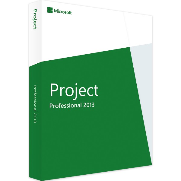 Microsoft Project 2013 Professional Cover